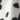 Cane Scarf, Black White Polka Dot, swatch