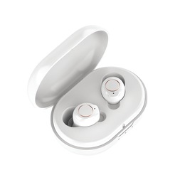 Bilateral Hearing Aids with Charging Case, , large