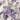 Cozee Corner Printed Flannel Pajamas, Ivory Tower, swatch