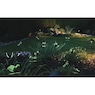 Set of 25 Luminous Butterfly Stakes, , large