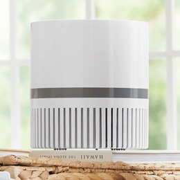 Therapure TPP100 Desktop Air Purifier, , large
