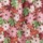 Poinsettia