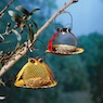 Solar Light Bird Feeder, , large