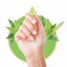 Aloe Growth Therapy, , large