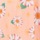 Delicate Daisies