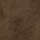 Medium Brown