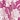 Trapunto Trim Caftan, Fuchsia Floral, swatch