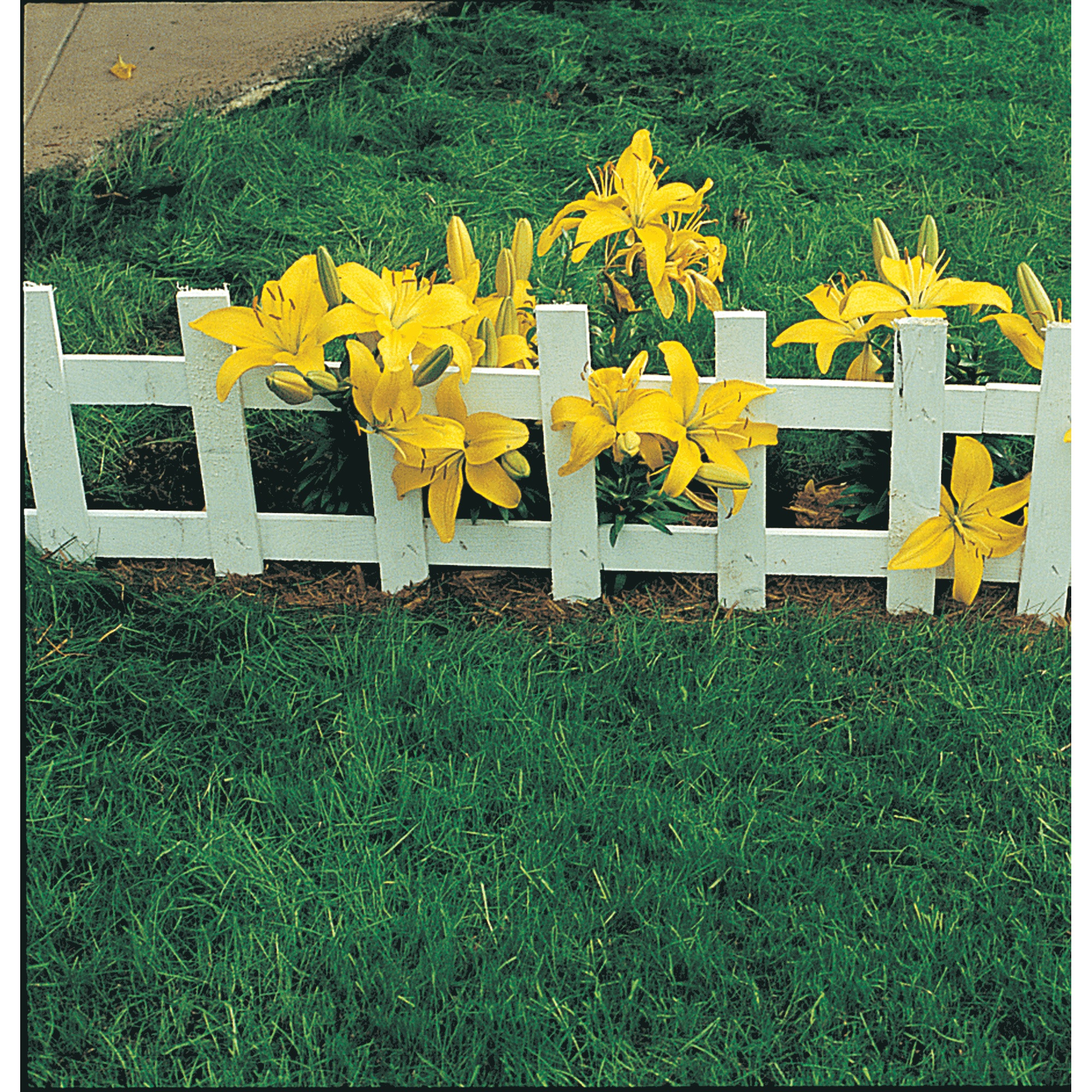 Canada Green&trade; Grass, , large