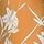 Mango Floral