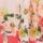 Red Scattered Border