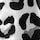 Snow Leopard