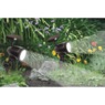 Solar Spotlight, , large