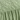Samantha Ruffle Bedspread, Sage, swatch