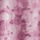 Rose Print