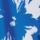 Blue Floral