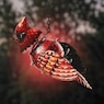 Hanging Bird Solar Lantern, , large