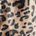 Brown Cheetah