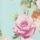 Aqua Tossed Roses Border
