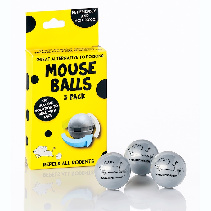 Pet mouse balls top