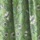 Ivy Print