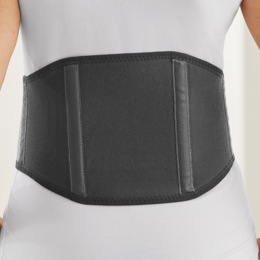 Bamboo Charcoal Back Support, , large