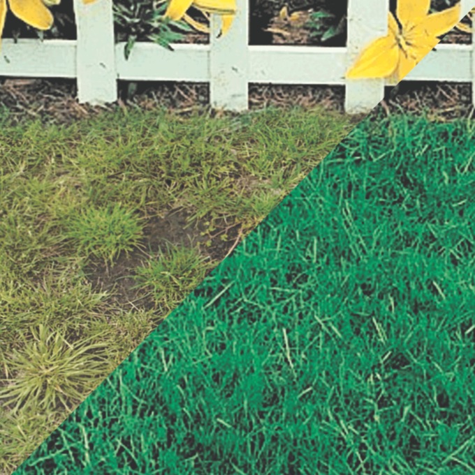 Canada Green™ Grass, , large