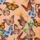 Peach Butterfly Border