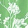 Tropical Green Floral