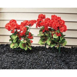 Silk Geraniums, Set of 2, , large