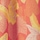Tropical Melon Print