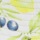 Lemon Grove