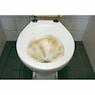 Magnetic Toilet Bowl Cleaner, , large