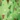 Cozee Corner Printed Flannel Pajamas, Holiday, swatch
