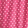 Raspberry Dot